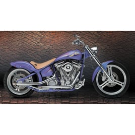 Paughco, drag pipes (40"). Chrome