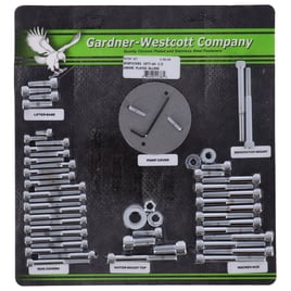 Motor screw sets, chrome allen