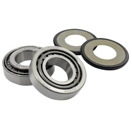 All Balls, frame neck bearing, race & seal kit